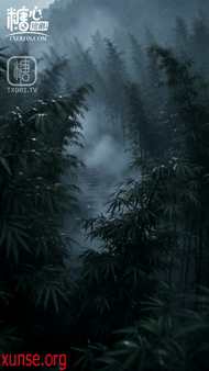 圖檔